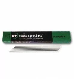 Radio DT Swiss Champion Straight Pull 2.0 Black 100.u - Endubikes